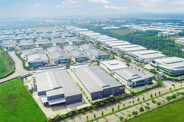 Forest Frenzy Co.,Ltd