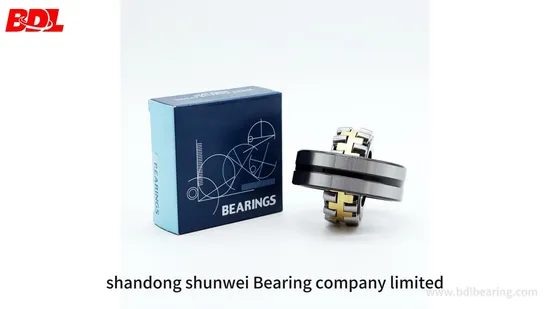 Cylindrical Roller Bearings Bc1 0738A for Railway Vehicle Axle